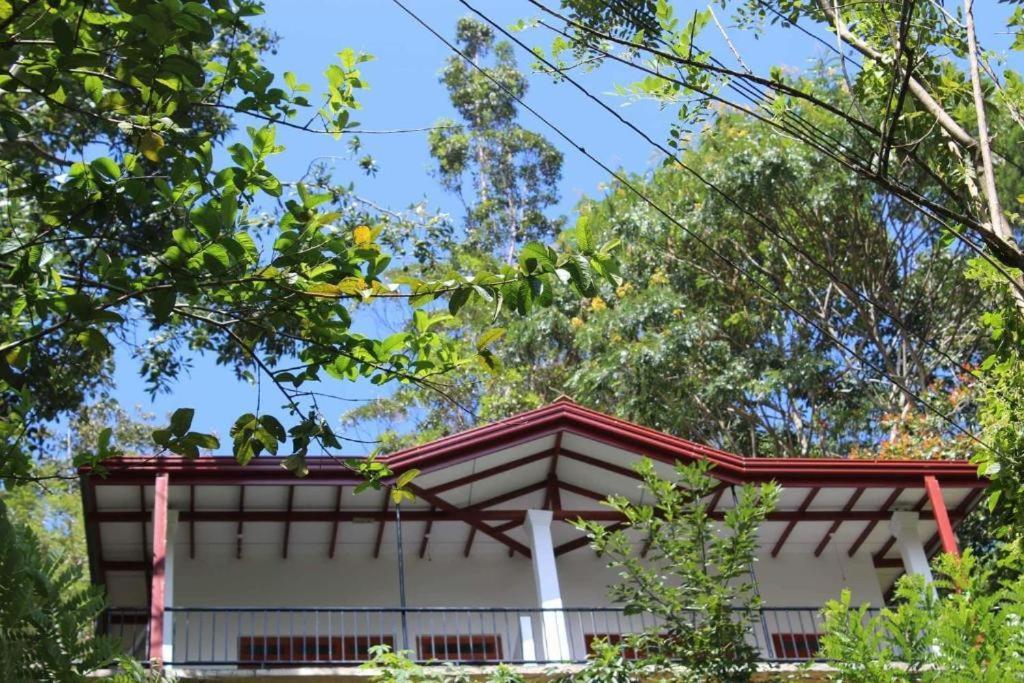 Amado Homestay Ella Buitenkant foto