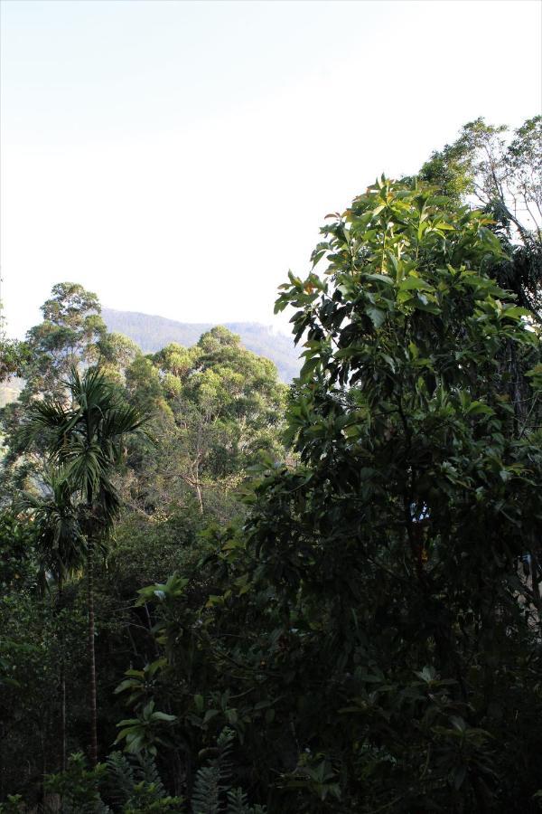 Amado Homestay Ella Buitenkant foto