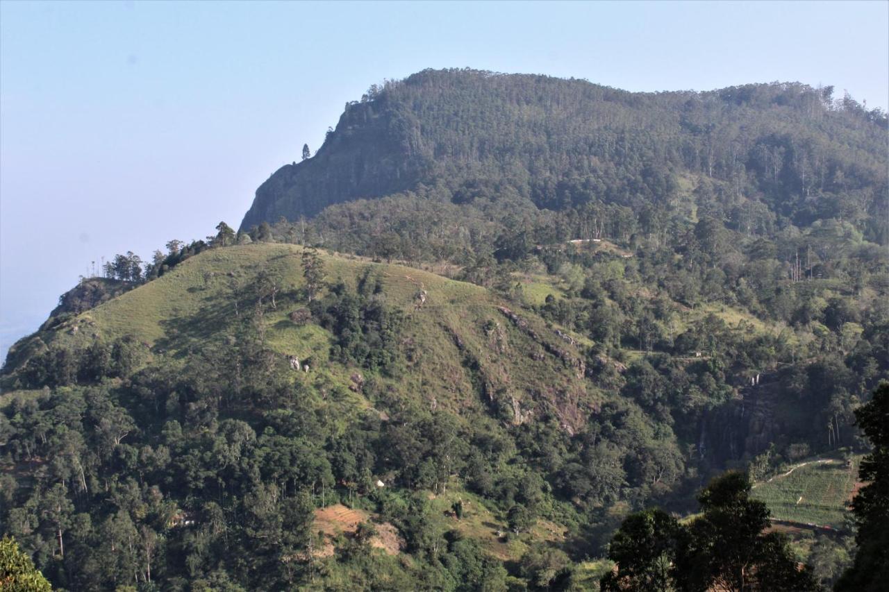 Amado Homestay Ella Buitenkant foto