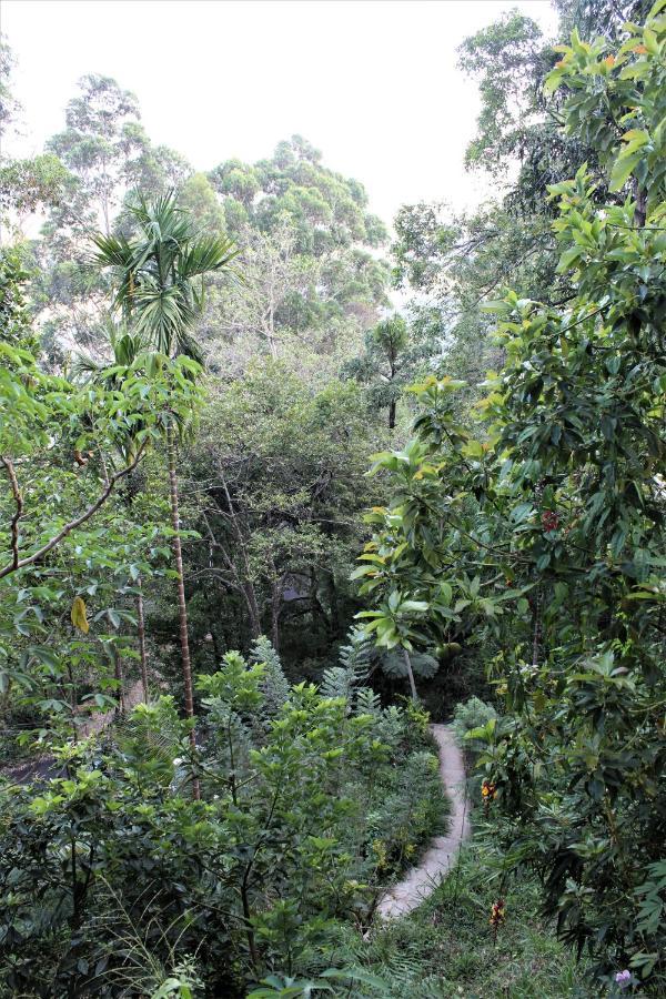 Amado Homestay Ella Buitenkant foto